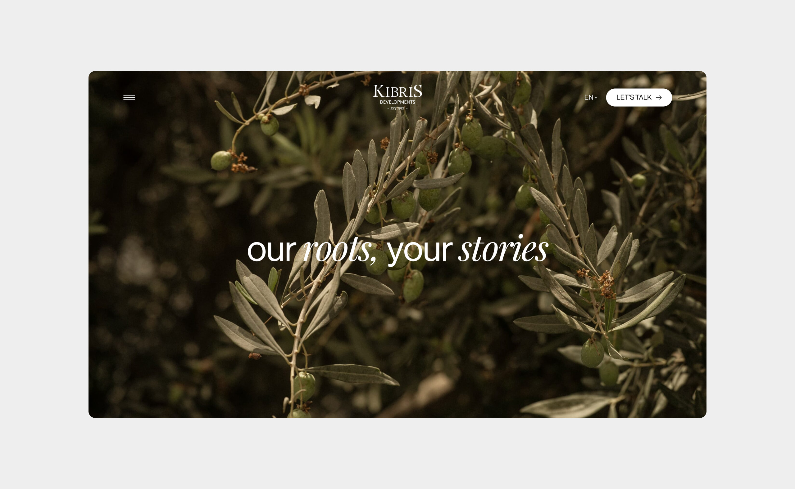 Kıbrıs Developments web sitesi önizlemesi