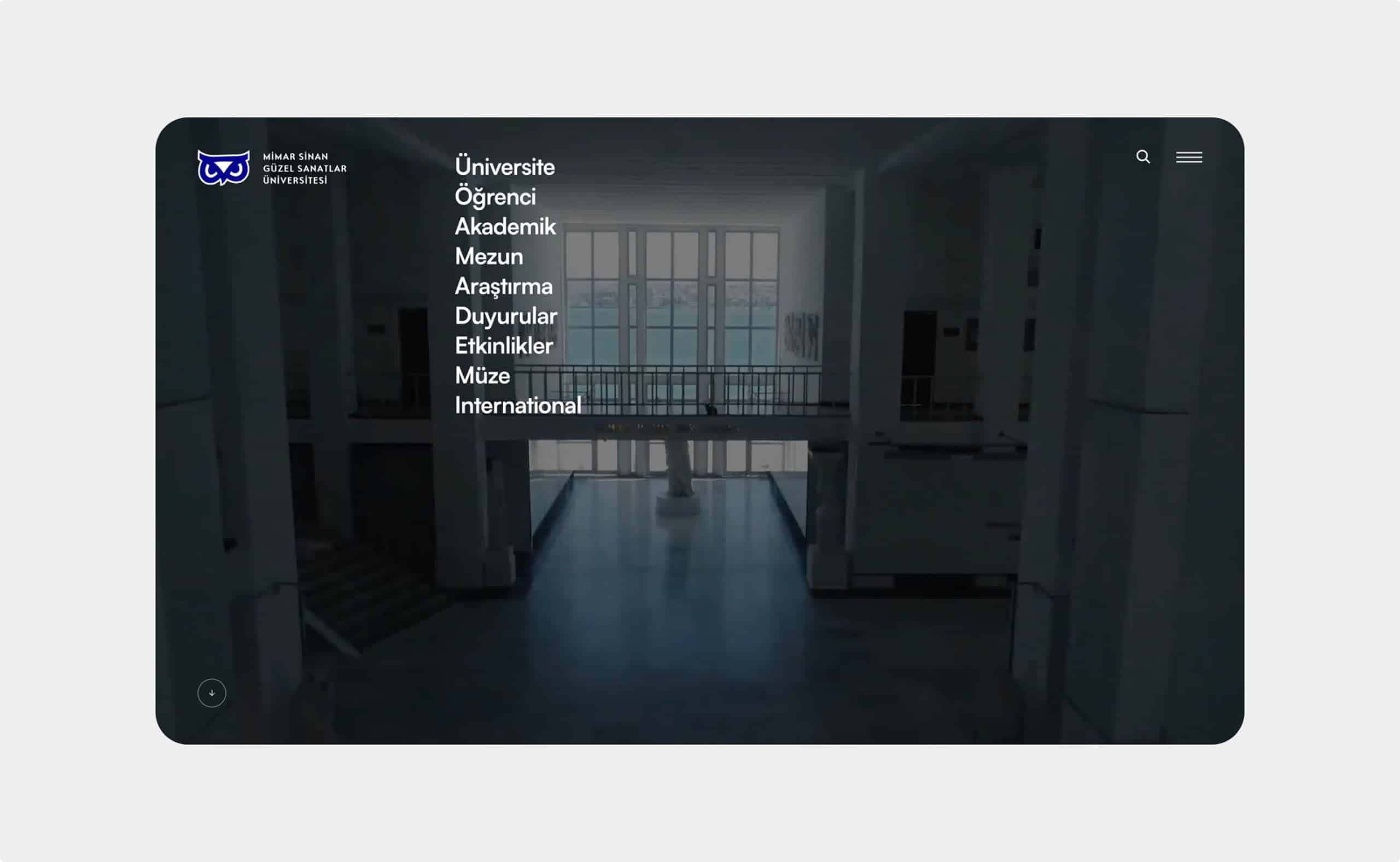 Mimar Sinan Güzel Sanatlar Üniversitesi website preview
